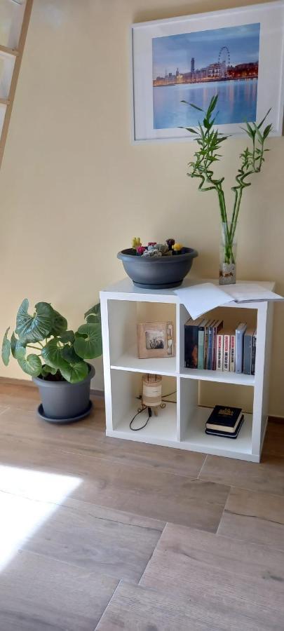 Lotus Daire Bari Dış mekan fotoğraf